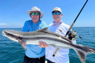 Mastering Cobia Jigging