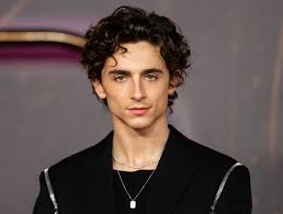 timothee chalamet age