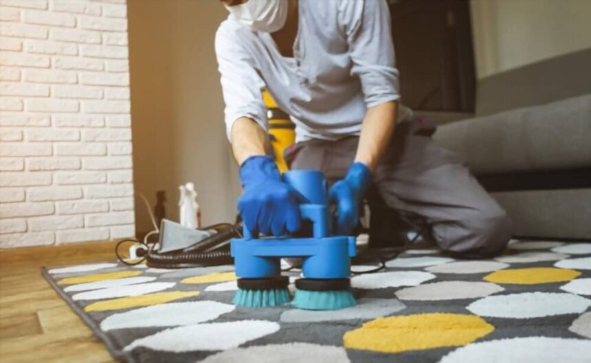 Maintaining Clean Carpets