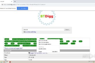 btdig.com