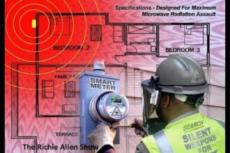 Smart Meters and the Hidden Costs of Ignoring Energy Usage Alerts
