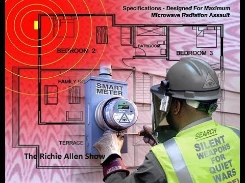 Smart Meters and the Hidden Costs of Ignoring Energy Usage Alerts