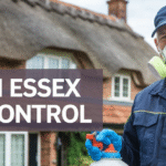 Efficient Pest Control Colchester for Homes & Businesses