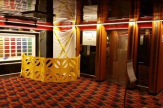 cruise elevator accident