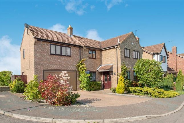 2 meadow close stilton