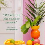 beaufort bonnet company coupon