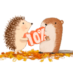 librio discount code