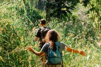 #getwildfulness.com#