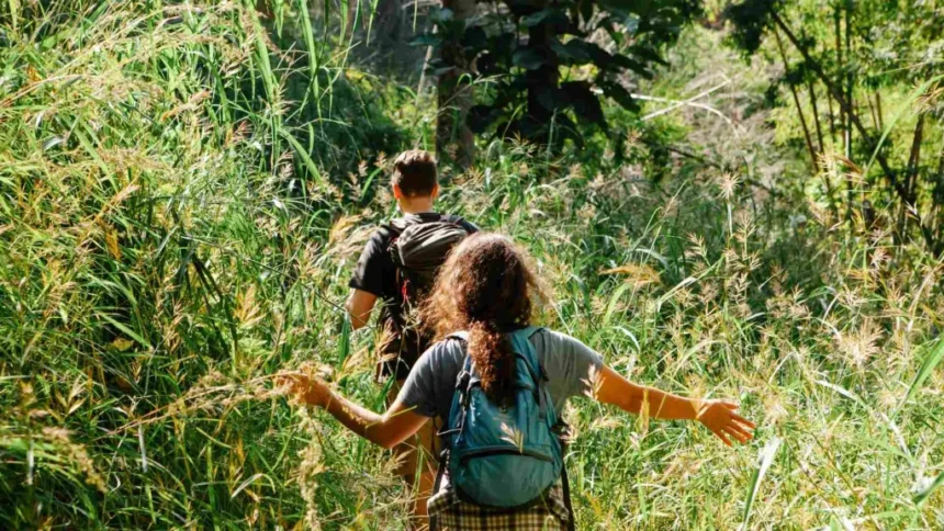 #getwildfulness.com#