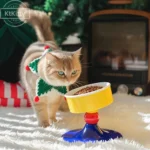 Why KtKitty Elevated Cat Bowl Is Becoming the Most Trusted Choice for Modern Cat Parents