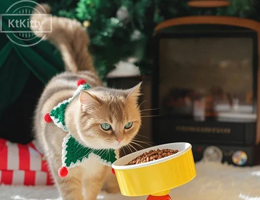 Why KtKitty Elevated Cat Bowl Is Becoming the Most Trusted Choice for Modern Cat Parents