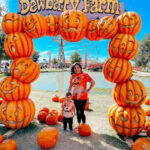 discount code for dewberry farm