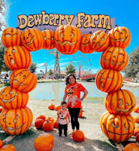 discount code for dewberry farm