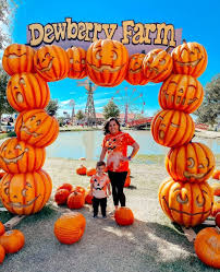 discount code for dewberry farm