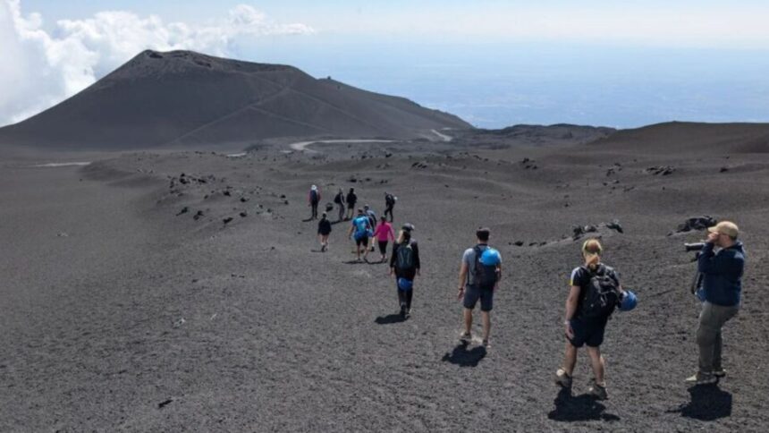 veronica garcia apeg maxey llc