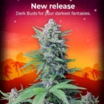 fast buds coupon code