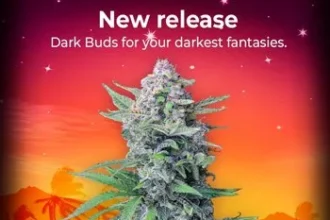 fast buds coupon code