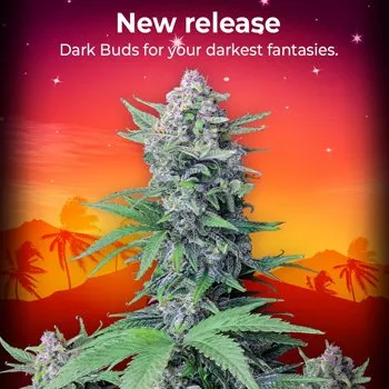 fast buds coupon code