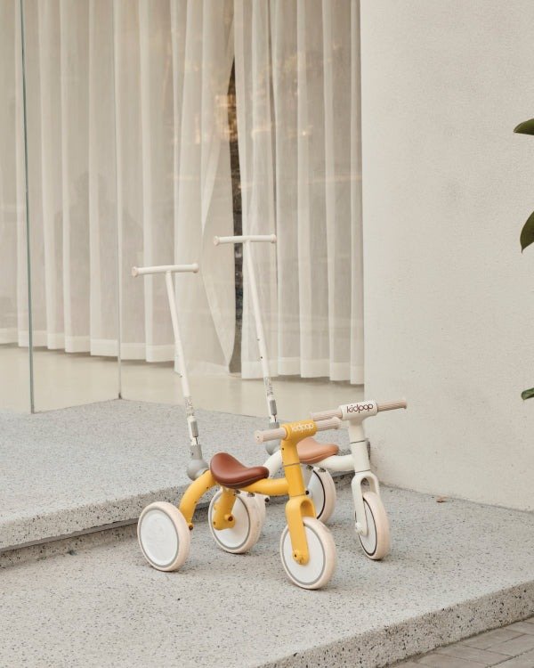 Key Features to Look For