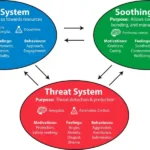 Understanding the Basics of Compassion Focused Therapy