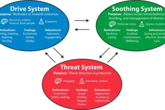 Understanding the Basics of Compassion Focused Therapy