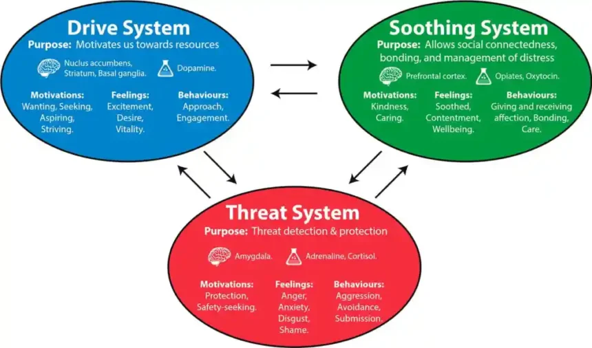 Understanding the Basics of Compassion Focused Therapy