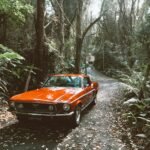 5 Key Features to Verify for Warranty & Dealer Support