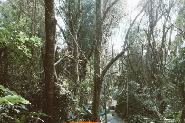 5 Key Features to Verify for Warranty & Dealer Support