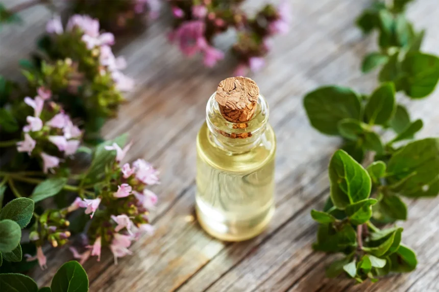 oil of oregano benefits
