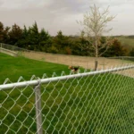 chain and link fence