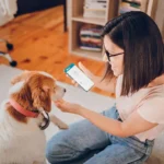 How Strategic Pet Content Helps Dog Brands Stand Out Online
