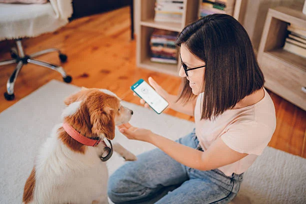 How Strategic Pet Content Helps Dog Brands Stand Out Online