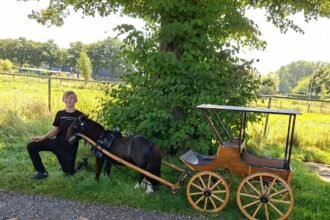 handelsondeneming d. jansen