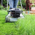 should you cut wet grass