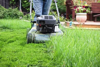 should you cut wet grass