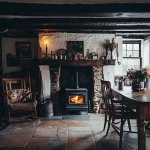 Can You Burn Coal in a Log Burner