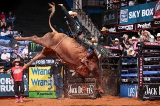 Bushwacker Bull