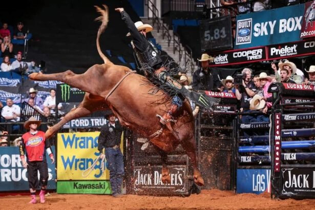 Bushwacker Bull