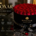 Rosboxar