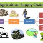 Agricultural Supply Chain