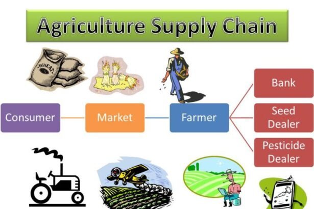 Agricultural Supply Chain