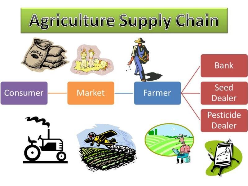 Agricultural Supply Chain