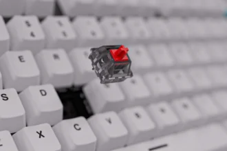 Why Should You Consider Hot-Swappable Mechanical Keyboards?