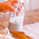 Homemade Fly Spray for Home