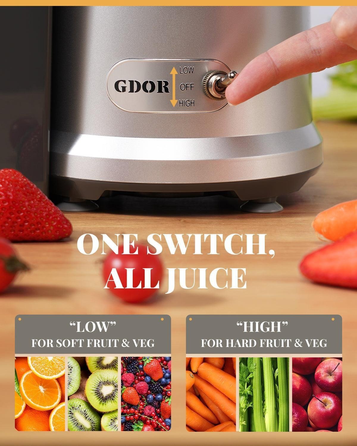 Key Features for Efficient Juicing: 800W Extraction and Dual-Speed Options 