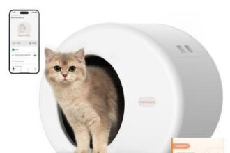 Why Smart Litter Boxes Outperform Traditional Options
