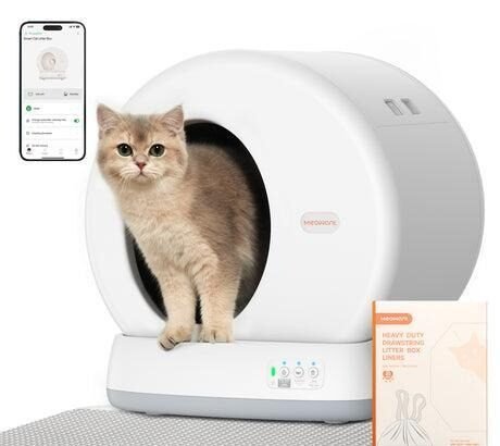 Why Smart Litter Boxes Outperform Traditional Options