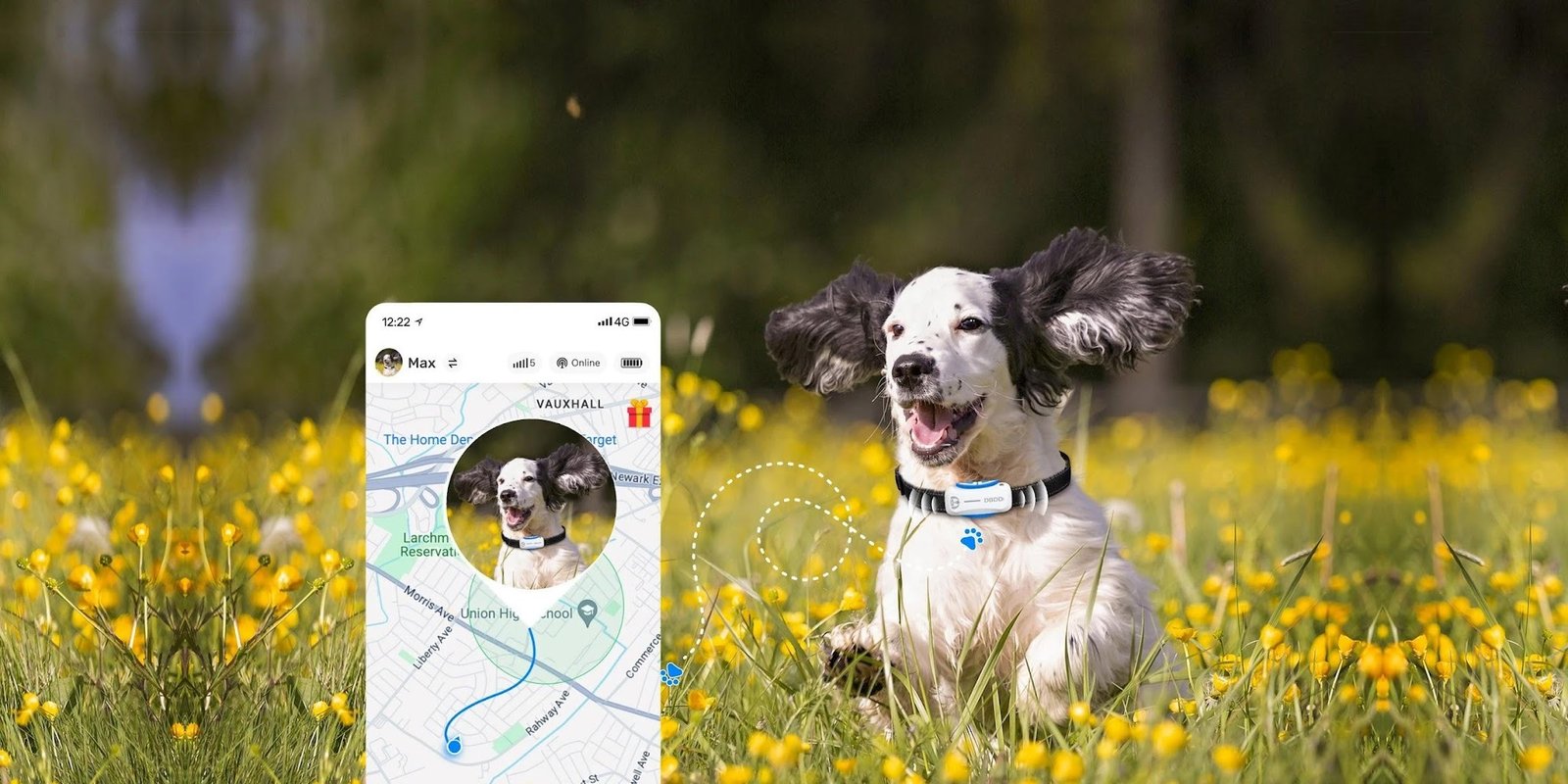 The Power of Real-Time Tracking for Your Dog's Safety 
