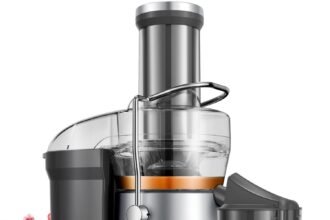 Cold Press vs Juicer: Enjoy Quick and Safe Juicing