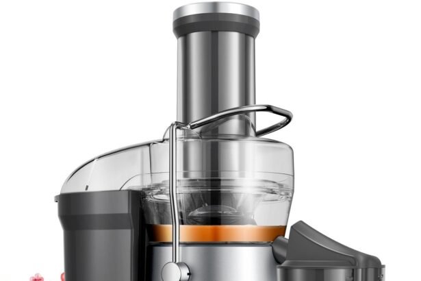 Cold Press vs Juicer: Enjoy Quick and Safe Juicing